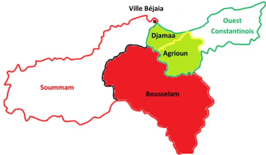 Figure IV.3 : Délimitation des deux bassins versants alimentant la ville de Béjaia 