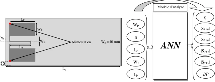 Fig. IV.2 Configuration 1_Analyse : Système multi-antennaire isolé par ligne de  neutralisation avec longueur du PCB et largeur de ligne de neutralisation fixe.