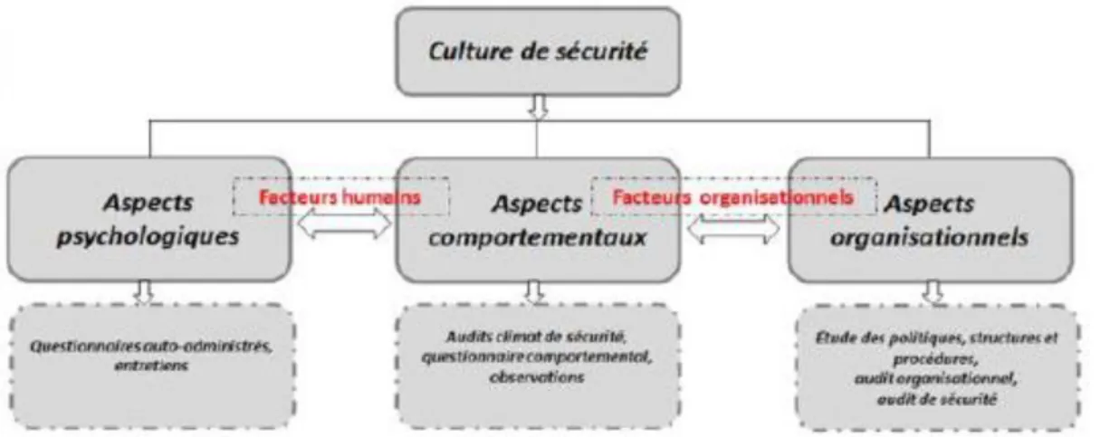 Fig. 3.2 : Les facteurs explicatifs de la « culture de sécurité »selon (Essehmoudi et al, 2015)
