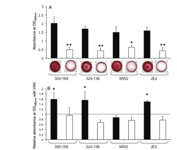 Figure 2. Impact of sarA on bio ﬁ lm formation. A, Bio ﬁ lm formation of the wild types and their isogenic sarA mutants was quanti ﬁ ed using a microtiter plate assay by solubilizing the safranin in 30% acetic acid, and absorption was measured at 490 nm