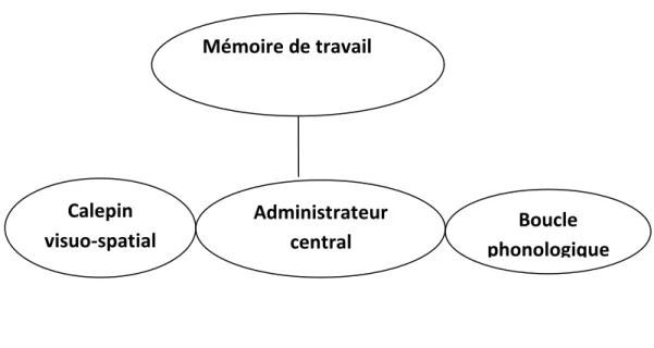 Figure 2. Modèle de la mémoire de travail (Baddeley, 2000)  