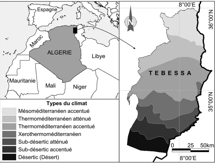 Figure  1 : Localisation  géographique  et les types de climat   de la wilaya   de Tébessa (Carte adaptée selon UNESCO 1963) 