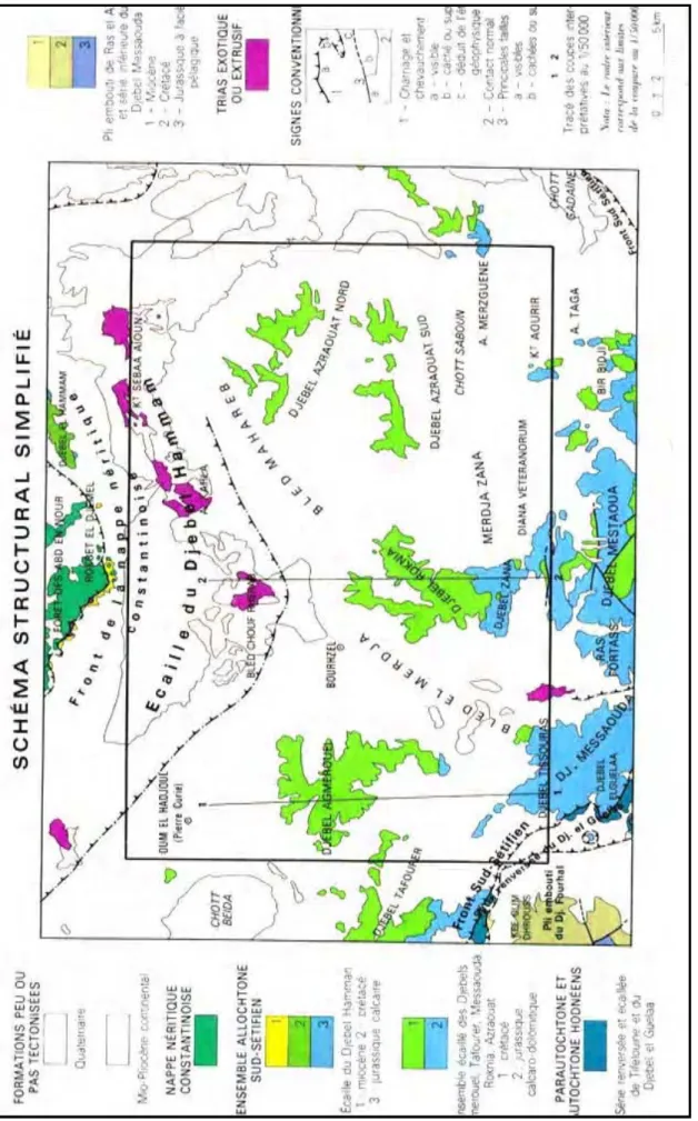 Figure 1.10 :Carte géologique du Nord-Est Algérien Extrait de la carte géologique au 1 :500000