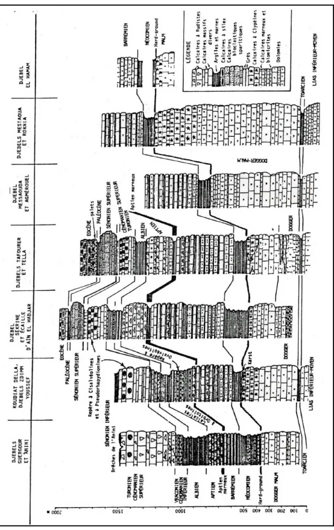 Figure 1.11 : Tableau de corrélation des séries typiques de l’ensemble sud-setifien.( VILA ,1980) 