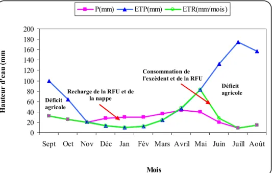 Figure 1.22 : Représentation graphique du bilan hydrologique de Thornthwaite de la station  de Ain Djasser (1969 à 2015)