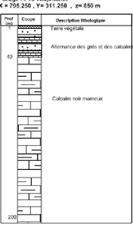 Figure 10.  Description lithologique à partir des logs des forages implantés dans le  terrain d’étude 