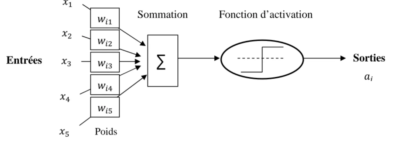 Figure II.3. Neurone formel le modèle Mc Culloch et Pitts  Sommation Fonction d’activation 