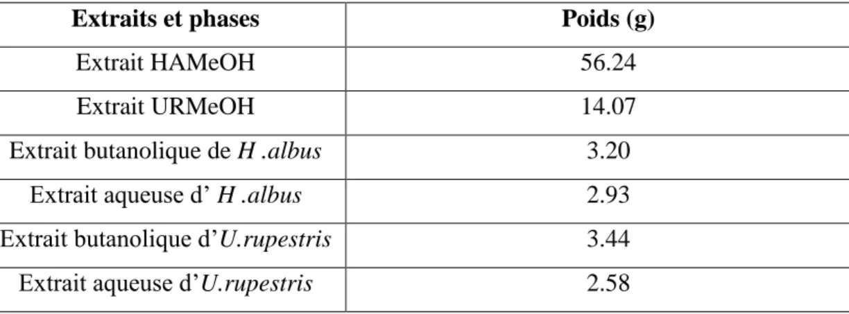 Tableau 5 : Masse des extraits et des phases aqueuses et butanoliques de H.albus et  U.rupestris