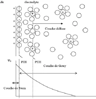 Figure II.6:Redistribution du potentiel et de la charge à l‟interface solide/électrolyte [8].