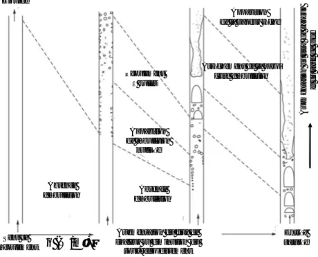 Figure 8. Évolution des températures de paroi, de fluide et du titre de vapeur le long du canal