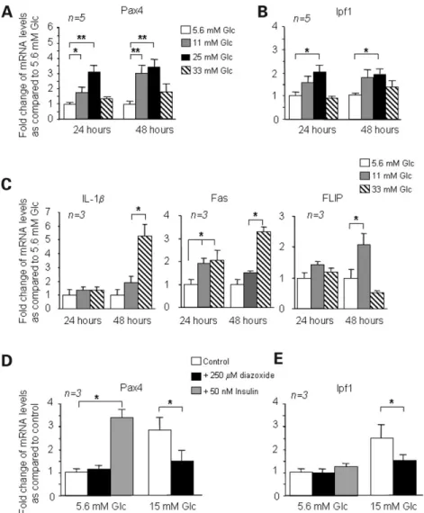 Figure 2. Glucose stimulates Pax4 gene expression in isolated human islets. (A) Pax4, (B) Ipf1, (C) IL-1b, Fas and FLIP mRNA levels in islets treated with increasing doses of glucose as indicated in the figure legends