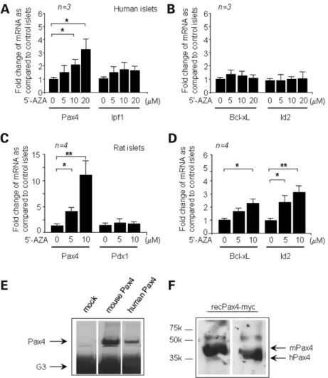 Figure 7. Inhibition of DNA methylase induces Pax4 gene expression in human and rat islets