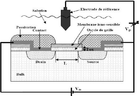 Figure I-10 : Capteur chimique ISFET [10]. 