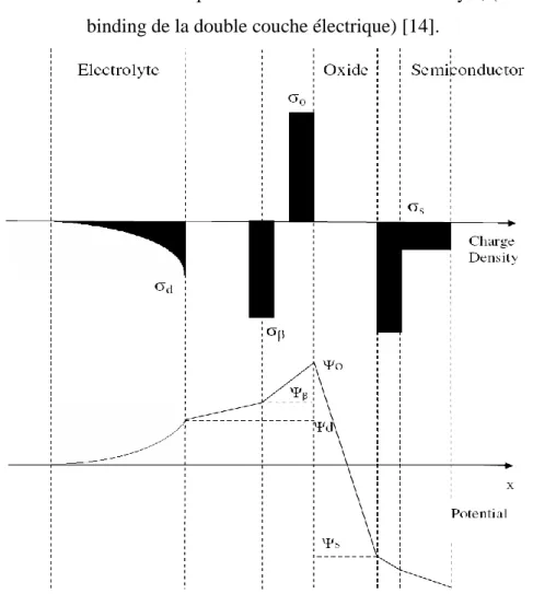 Figure I-12:   Distribution des charges et de potentiel d’un ISFET PH<PHpzc. 