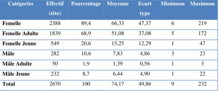 Tableau 05: Composition des troupeaux camelins  Catégories  Effectif 