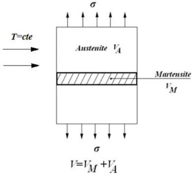 Figure III.1. Le volume élémentaire représentatif (VER)  La densité d’énergie libre  peut être écrite sous la forme : 