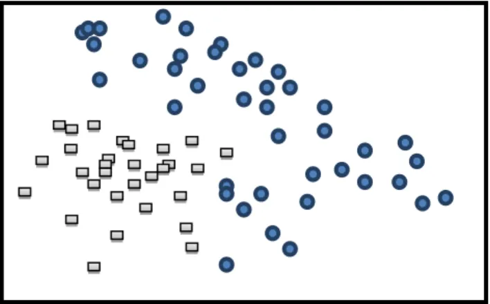 Figure 2-6  Representation of objects belonging to two distinct classes, in a two-dimensional  space