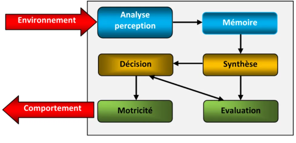 Figure 2.4 : Agent cognitif  