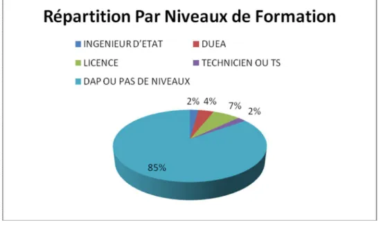 Figure 2.11_ Répartition d’effectif par niveaux de formation