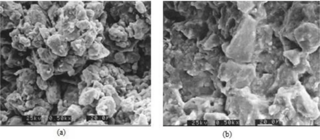 Figure I.15 : Observation au MEB de la structure d’un limon compacté : a) du côté sec de l’optimum ;  b) du côté humide (Delage et al, 1996)