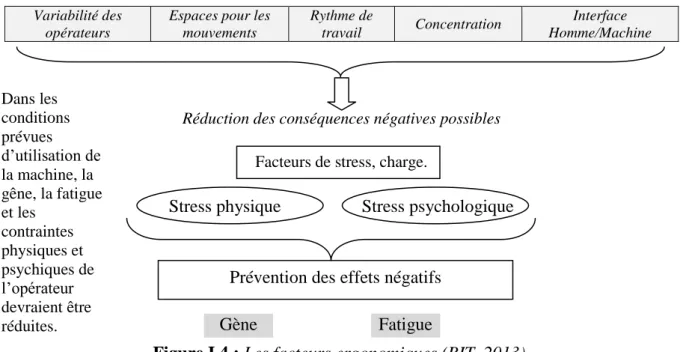 Figure I.4 : Les facteurs ergonomiques (BIT, 2013). 