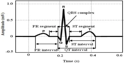 Figure 2.11 Schematic representation of normal ECG waveform. 