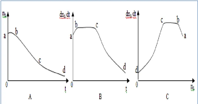Figure 4 : Courbes d’évolution type au cours du temps de la teneur en eau du produit (A), l’allure de séchage (B) et l’allure de séchage en fonction du taux d’humidité (C)  [22] .