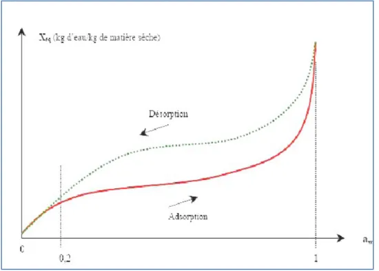 Figure 5 : Allure générale des isothermes de sorption