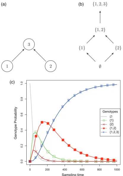 Fig. 2. The poset with three events and the relations 1 ≺ 3 and 2 ≺ 3 (Example 2.4) is shown in (a)