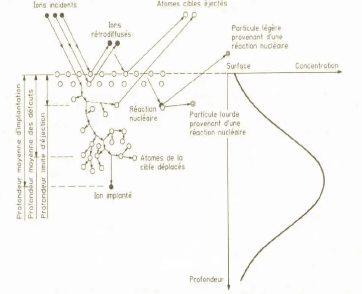 Fig.  1.20- Schéma montrant les différents phénomènes pouvant se produire dans une cible soumise à l’implantation ionique [31]