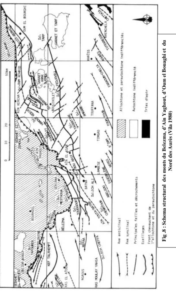 Fig .8 : Schema structural  des monts du Belezma, d’Ain Yaghout, d’Oum el Bouaghi et  du Nord des Aurès (Vila 1980)