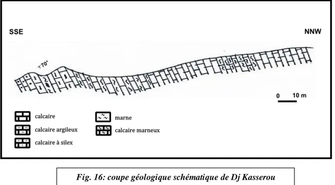 Fig. 16: coupe géologique schématique de Dj Kasserou  