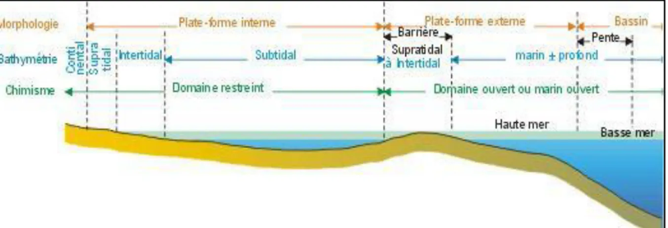 Fig. 22 : Répartition des environnements sur une plate-forme. (Modèle générale de la  plate-forme) 