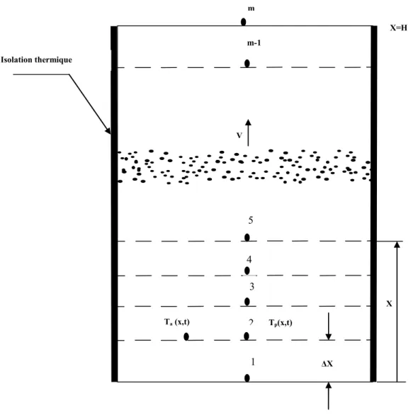 Figure IV.2 : Maillage du produit granulaire