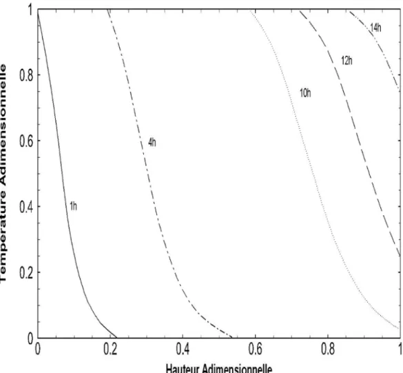 Figure IV.3 : Evolution des températures du produit au bout de 1, 4, 10, 12 et 14 heures                en fonction de la hauteur