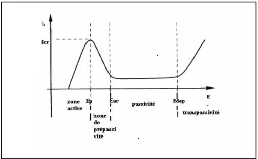 Figure I.4  Courbe type de polarisation potentiodynamique présentant un palier                                    de passivation [5].