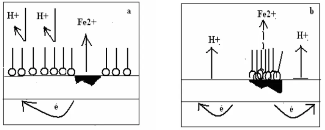 Figure I.9  Blocage des sites a) cathodiques et b) anodiques par formation  d’une  couche barrière  agissant sur les processus électrochimiques en milieu acide