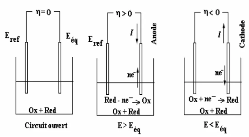 Figure II.1  Sens du courant suivant la valeur de la  différence de potentiel appliquée à l’électrode  indicatrice