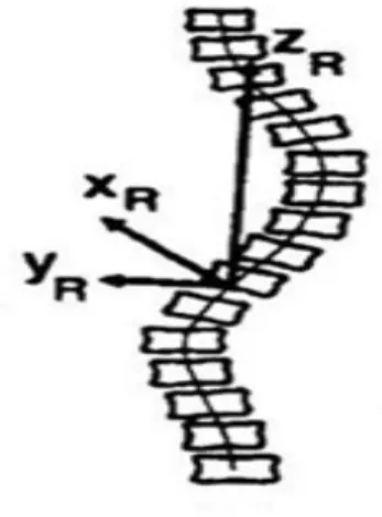Figure II.4 Repère local vertébral [8].