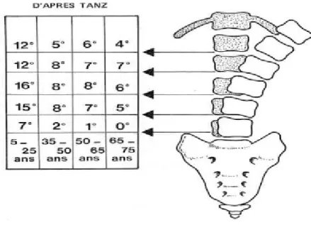 Figure III.4 Inflexion Latérale [10].