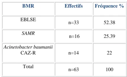 Tableau 29: Fréquence des BMR dans les prélèvements cutanés positifs  