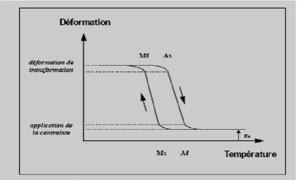 Fig I.5 : Fraction volumique de la martensite en fonction de la température [5]