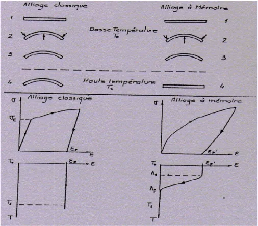 Fig I.6 : Illustration de l'effet mémoire simple des AMF[6]