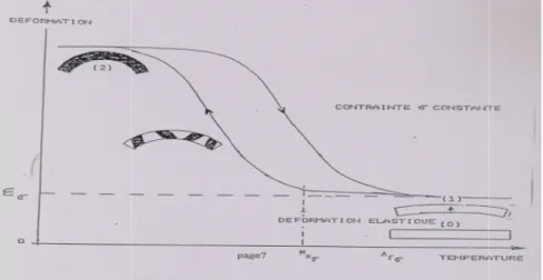 Fig I.7 : Illustration de l'effet mémoire double sens assisté des AMF