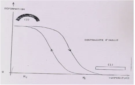 Fig I.8 : Illustration de l'effet mémoire double sens non assisté des AMF[5]
