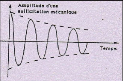 Fig I.11 : Illustration de l'effet caoutchoutique des AMF[6]