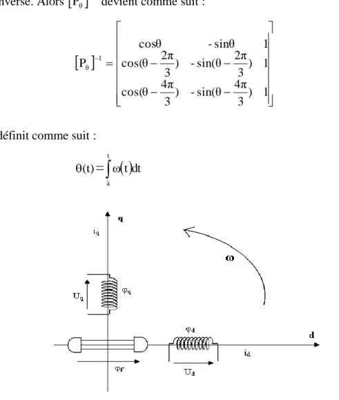 Fig. I.6: Modèle biphasé de la MSAP  On choisi le référentiel de Park. (d, q) lié au rotor