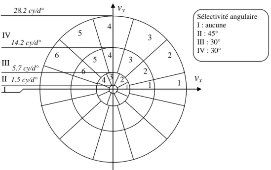 Figure III.16. Modélisation du comportement des parties périphériques du HVS 