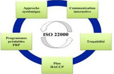 Figure 6: les différentes phases de l’ISO22000 