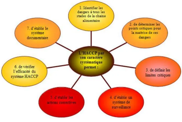 Figure 7: Les étapes de la HACCP 